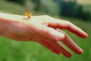 Trouver le fil conducteur